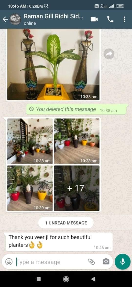 144097364_426518042100907_8484494832336523349_n